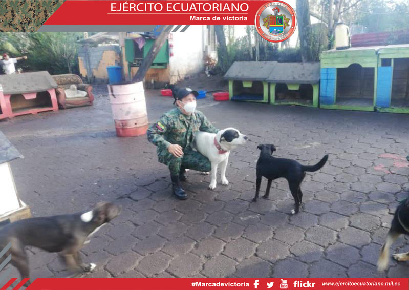 Albergue para mascotas se benefician de donación que realizó personal militar