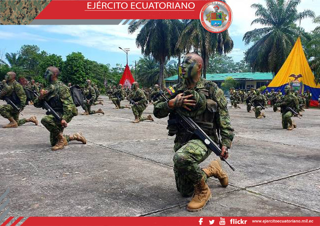 Finaliza LV Curso de Tigre