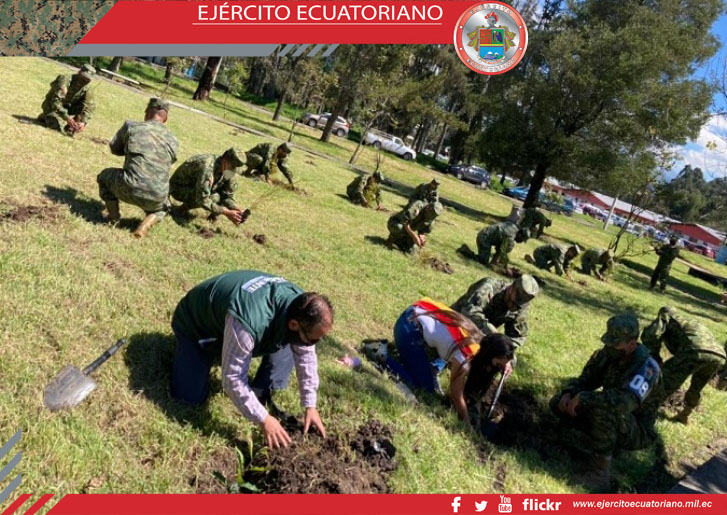 500 plantas nativas se sembraron en el sector de la Balvina