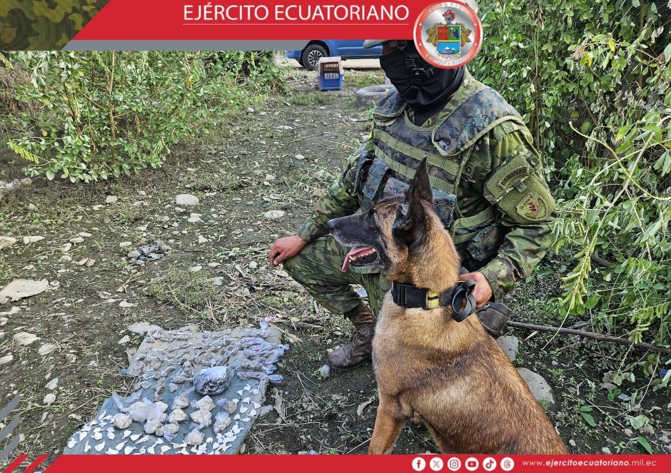 Pelotón canino de la Brigada Patria continúa localizando SCSF en Babahoyo