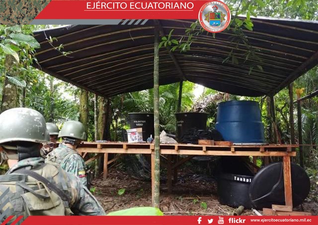 Efectivos de la Brigada Napo destruyen plantación de coca en la frontera norte