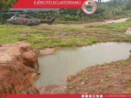 altopunino