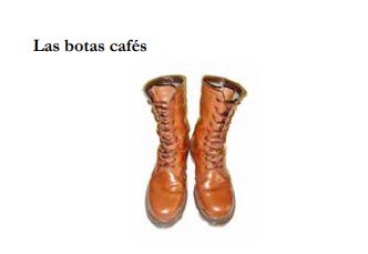 botas_cafes