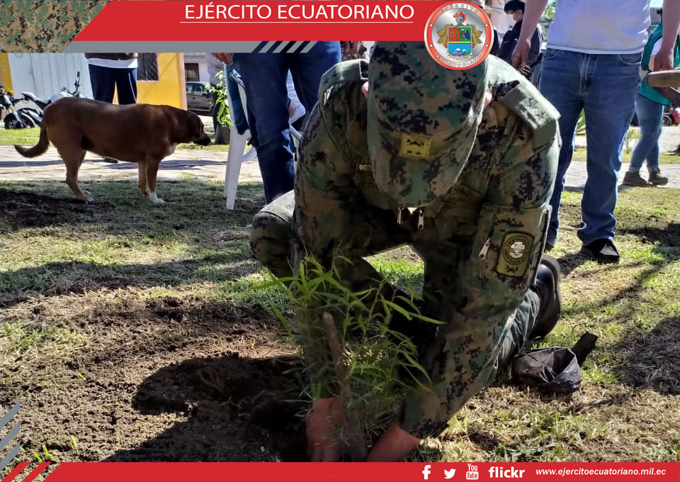 Militares apoyan en campaña de siembra de árboles