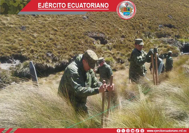 Galería 3