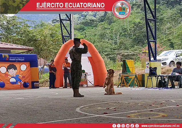 Galería 2