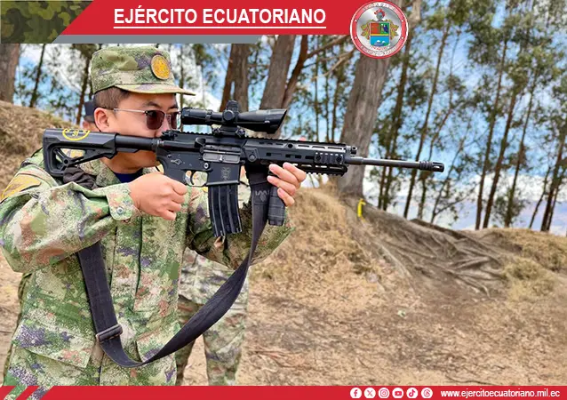 Galería 4
